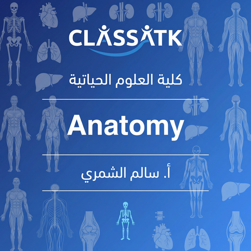 أ. سالم الشمري - Anatomy العلوم الحياتية