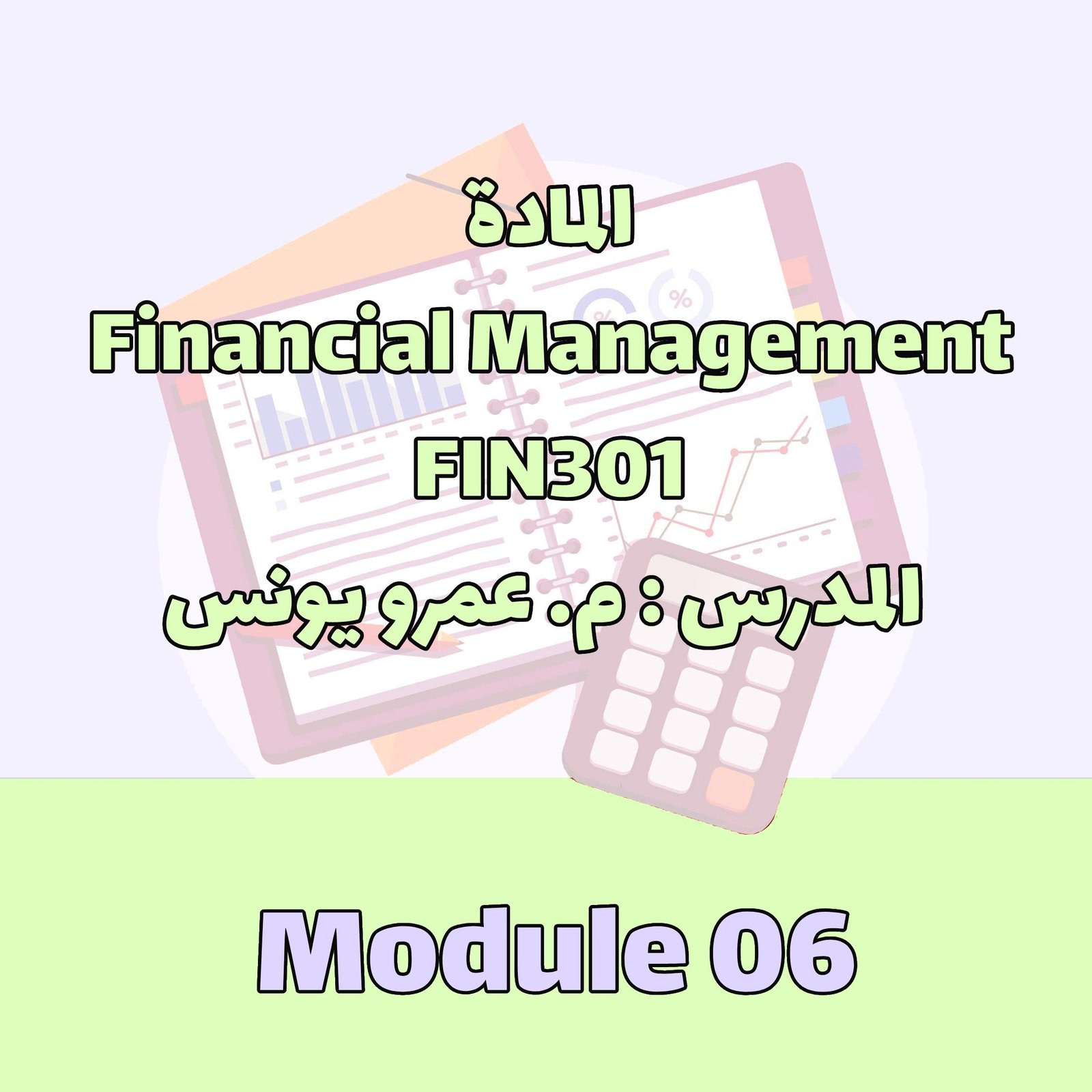 FIN301 - Module 06