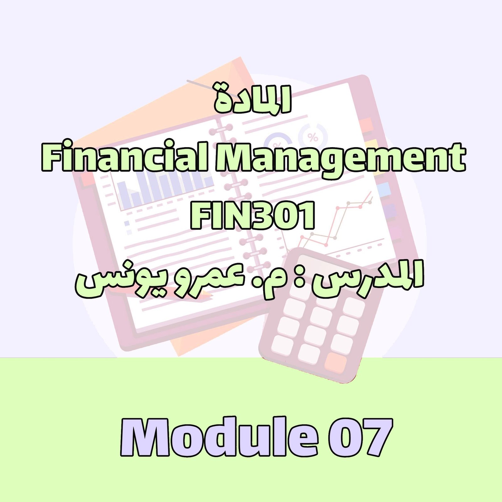 FIN301 - Module 07