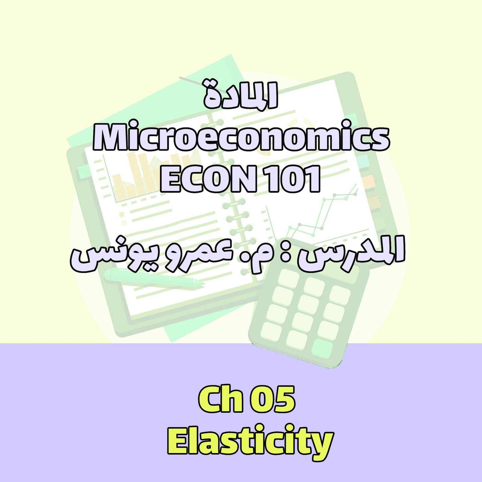 Ch 05 Elasticity
