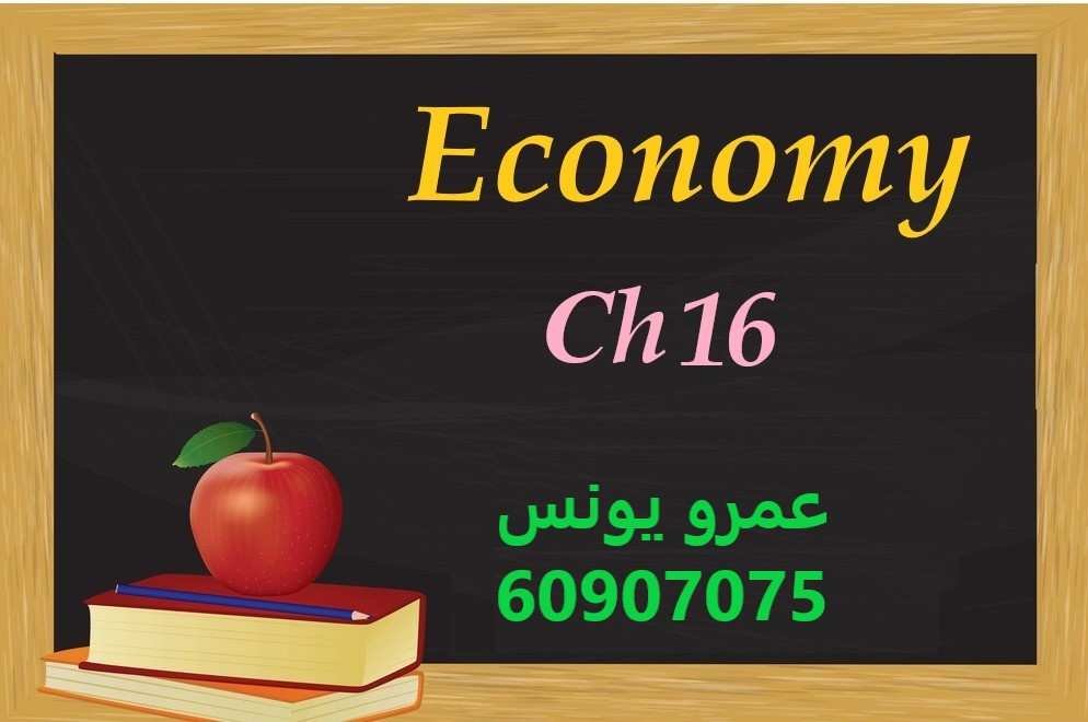 Economy - Chapter 16