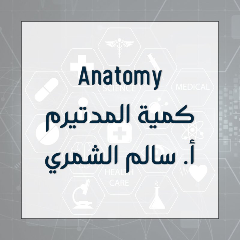 Anatomy - Midterm